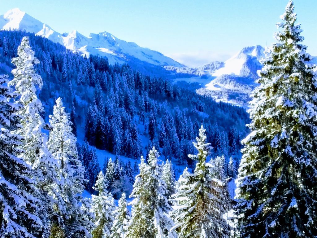 Appartement T1 MANIGOD (74230) KAP IMMOBILIER