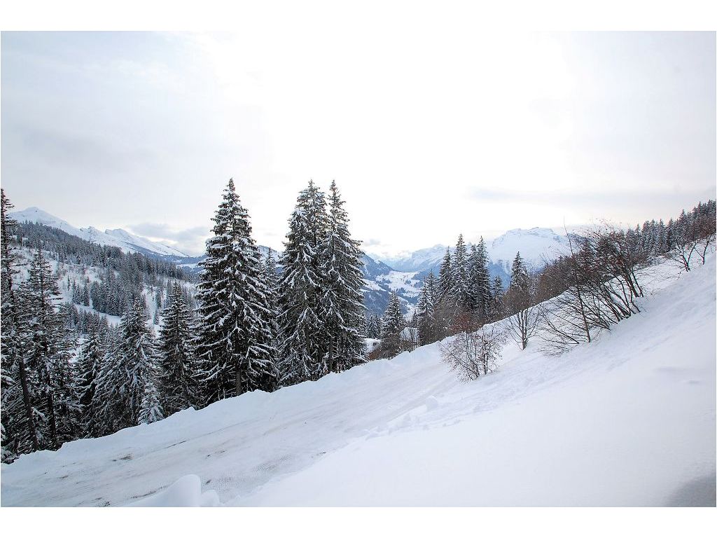 Appartement Studio MANIGOD (74230) KAP IMMOBILIER