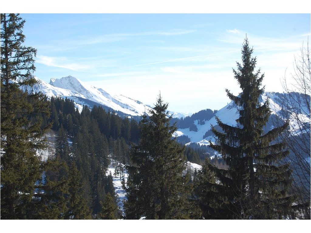 Appartement T1 MANIGOD (74230) KAP IMMOBILIER