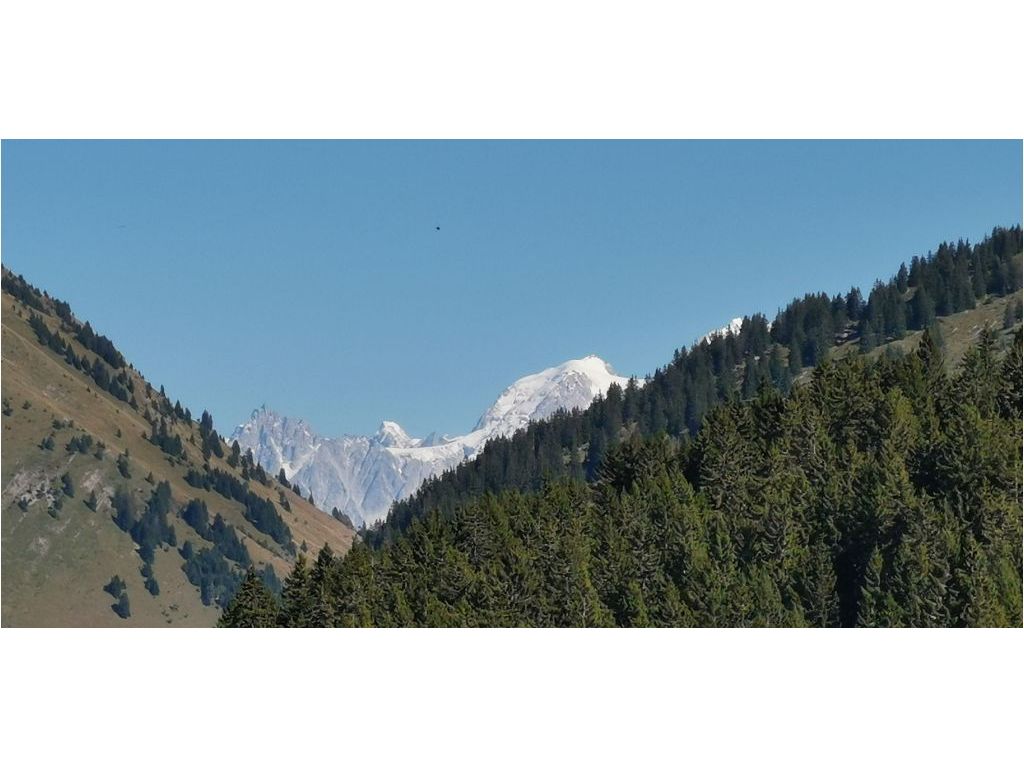 Appartement T1 MANIGOD (74230) KAP IMMOBILIER